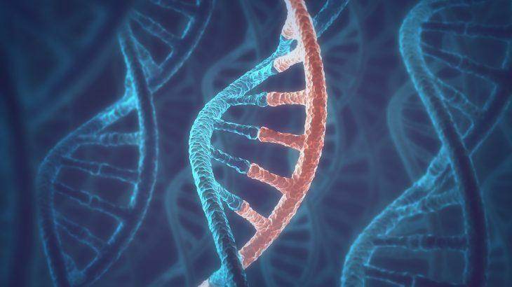 上海中量国鉴生物