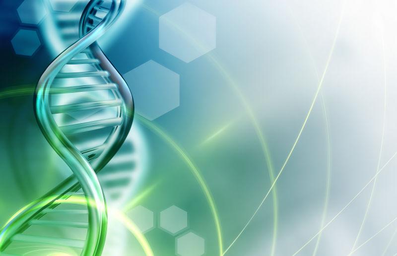 上海中量国鉴生物