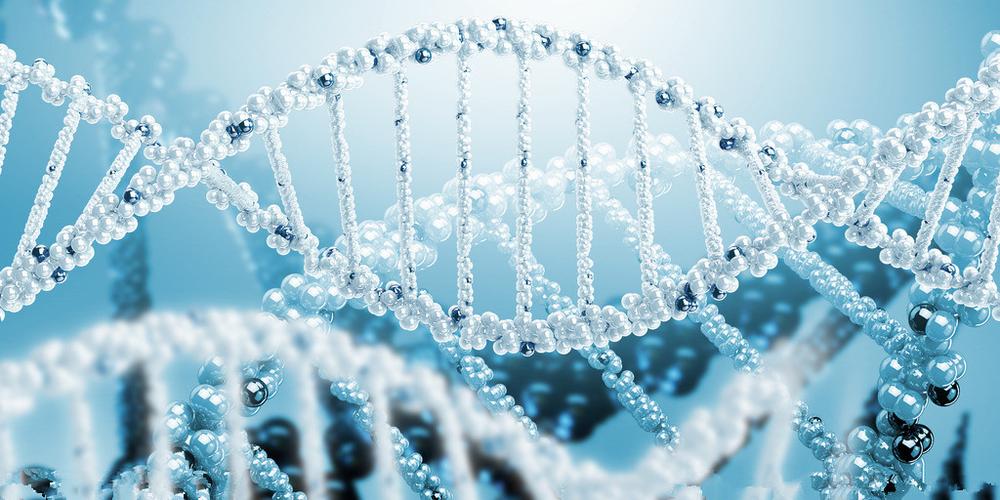 上海中量国鉴生物