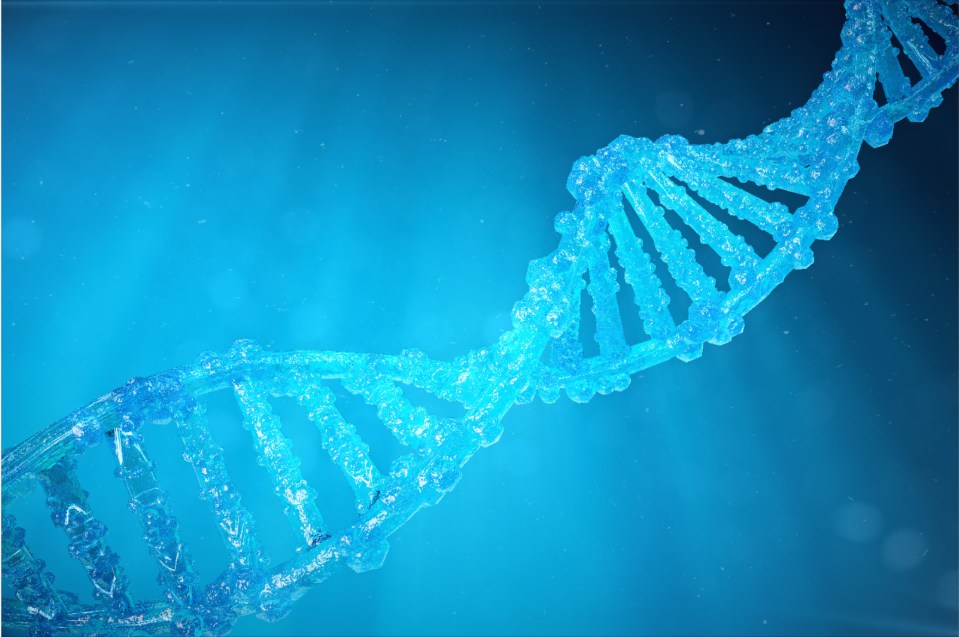上海中量国鉴生物